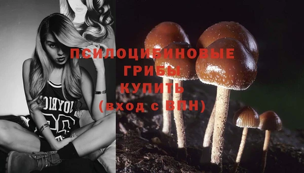 гидропоника Балахна